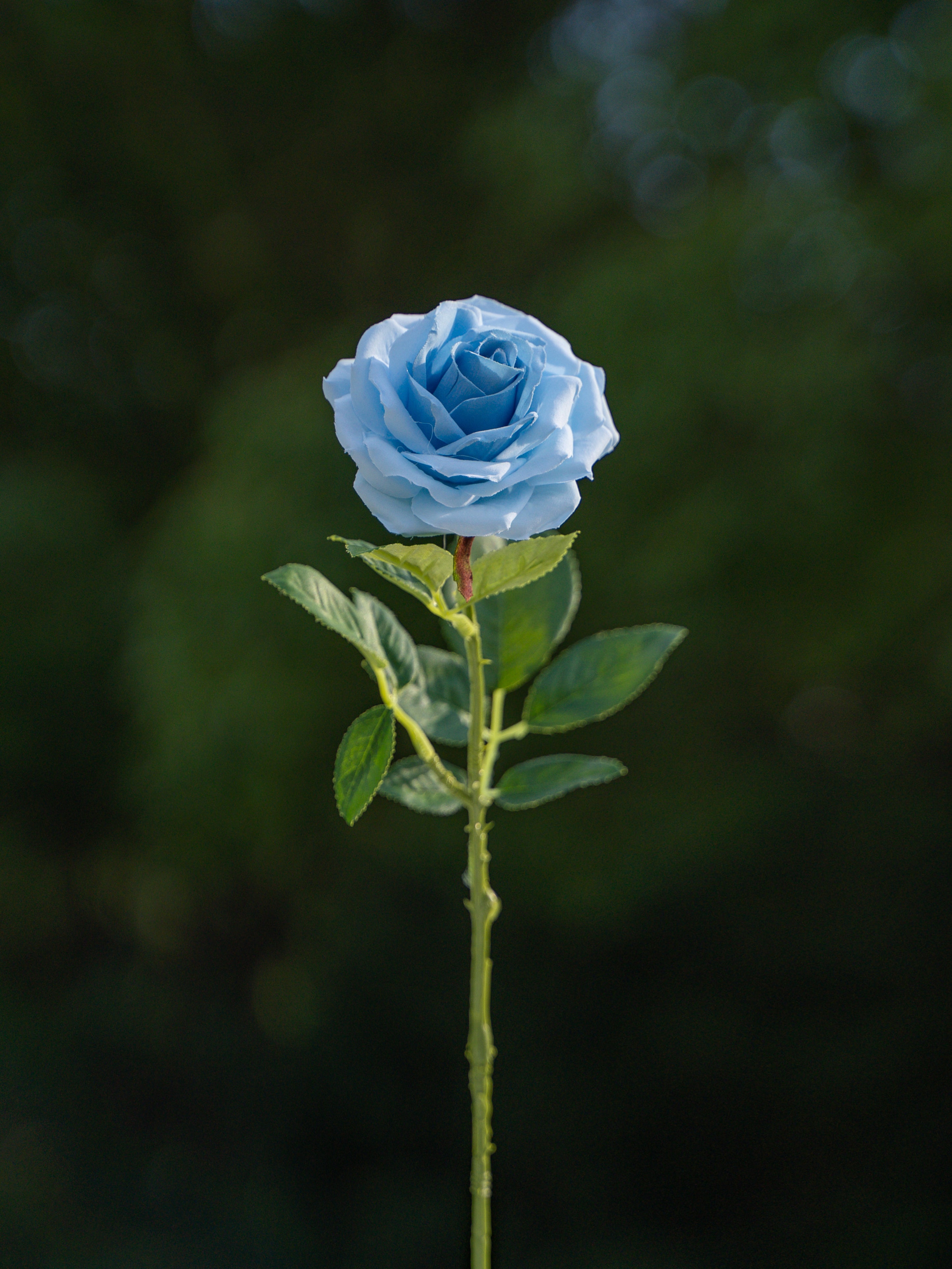 Blue Artificial Curled Small  Rose Flower - 17.8&quot; Tall