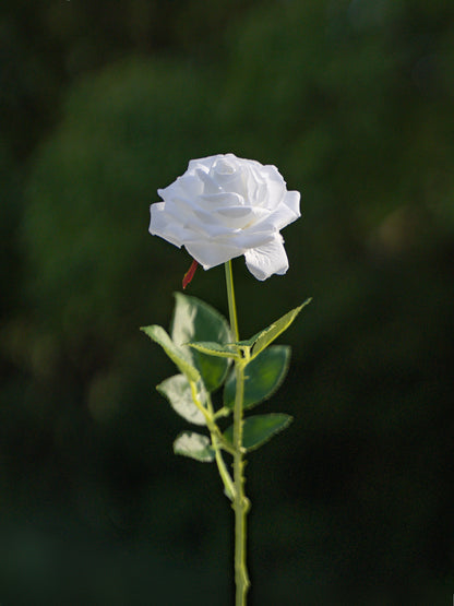 White Artificial Curled Small  Rose Flower - 17.8&quot; Tall