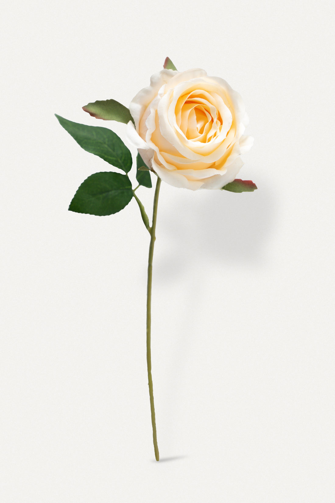 Artificial Flower Bud Rose in Champagne - 11&quot;