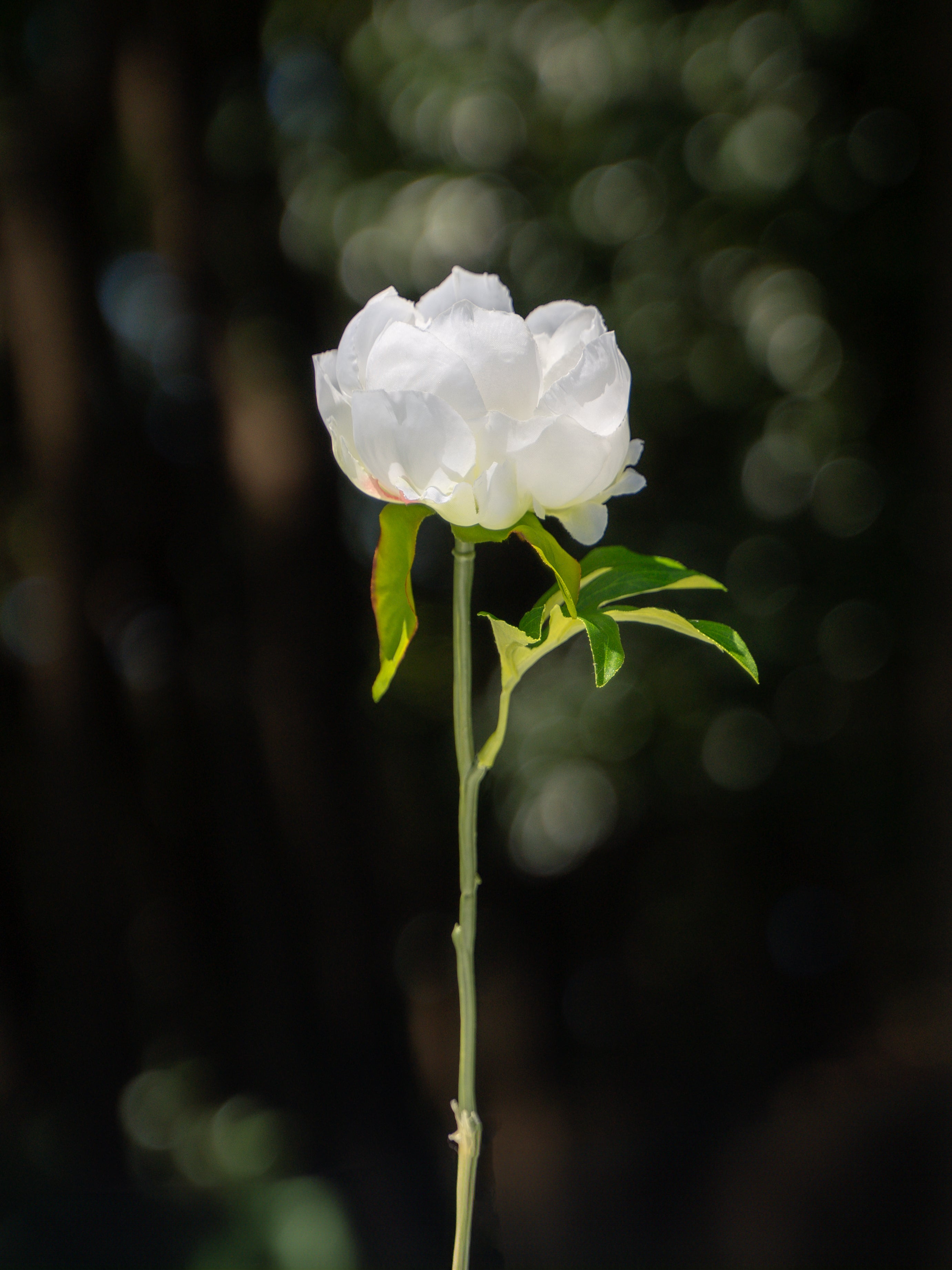 White  Artificial Peony Flower - 9.8&quot;