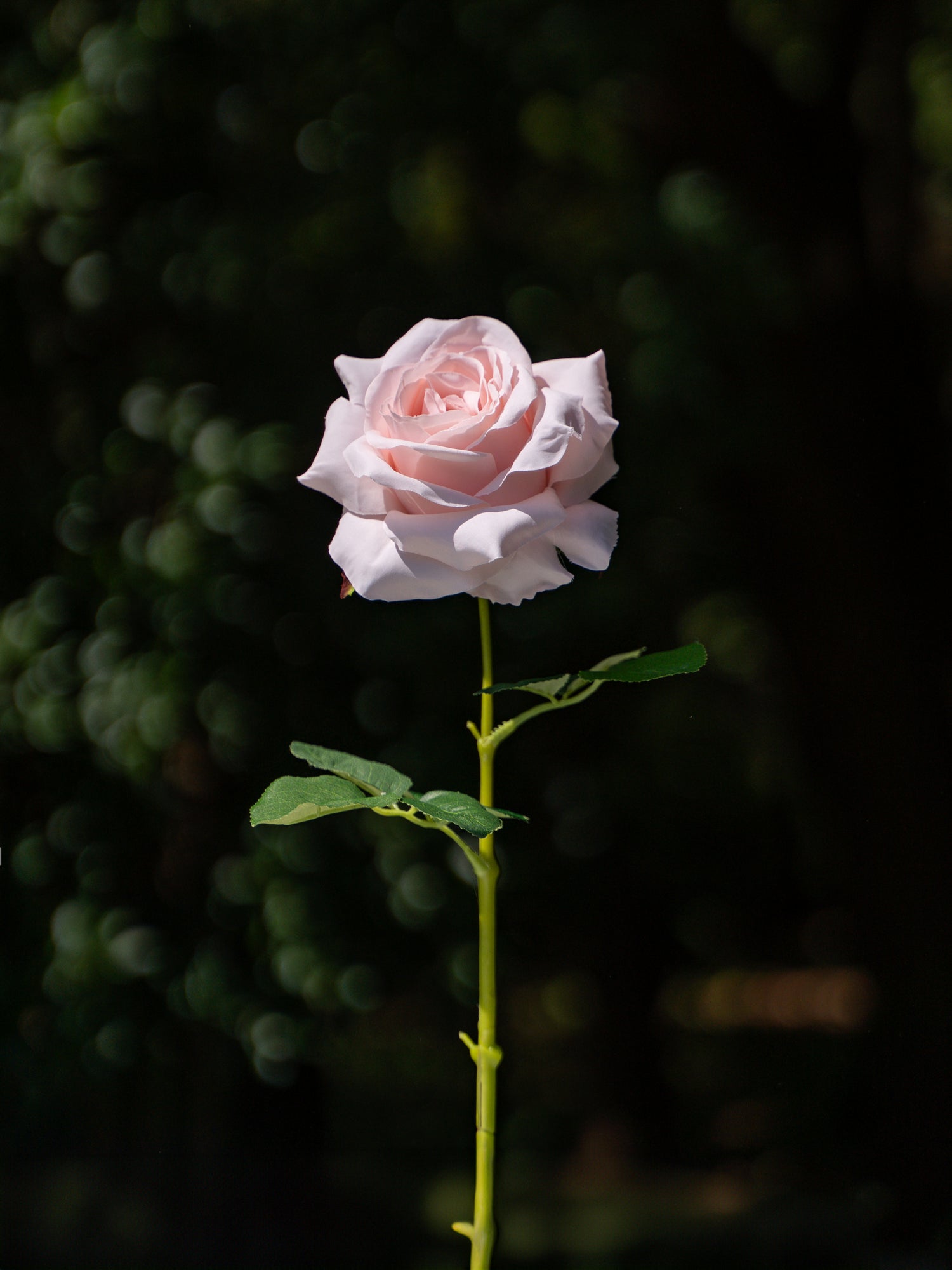 Nude Pink Curled Rose  Flower- 19&quot;