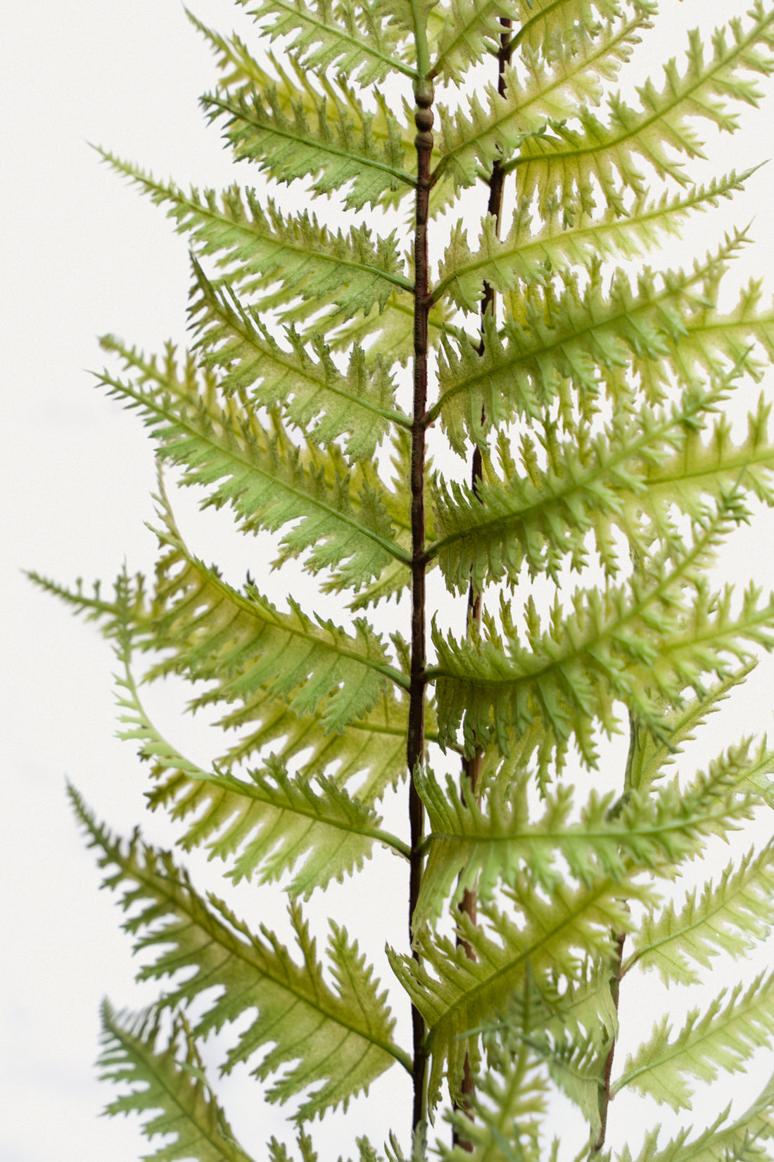 Fake Plants 3 Head Fern Branch - 37.7&quot;