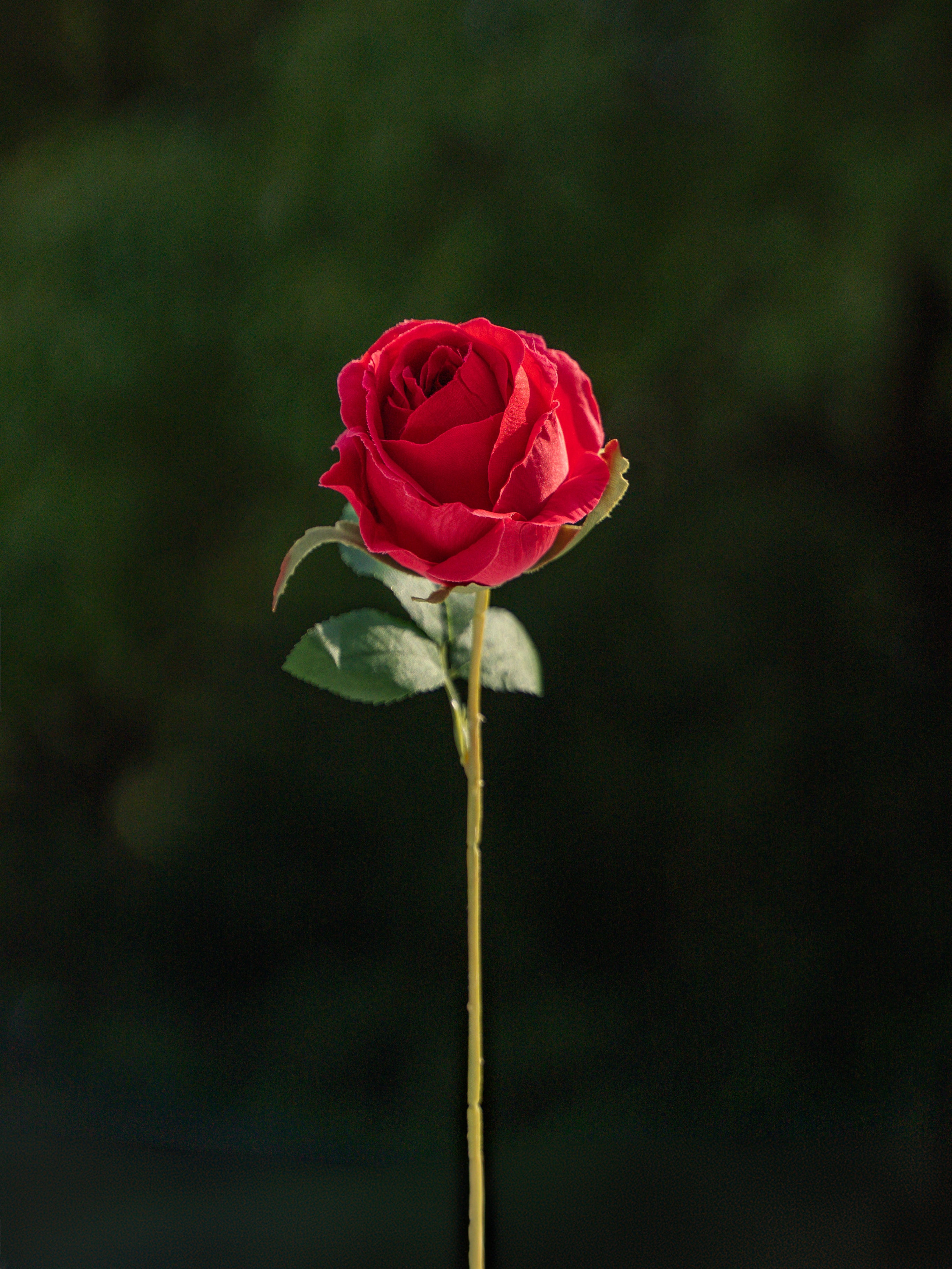 Artificial Flower Bud Rose in Red - 11&quot;