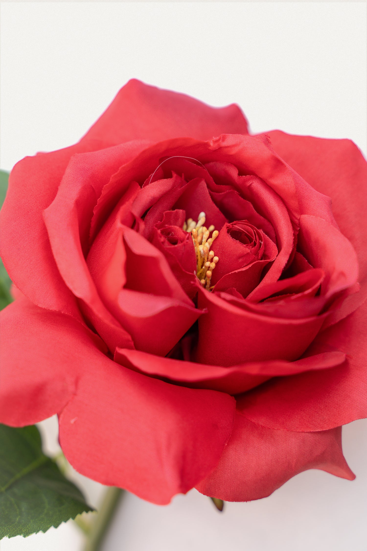 Red  Double Core Garden Rose-11.2&quot;