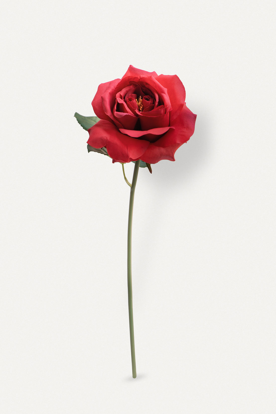 Red  Double Core Garden Rose-11.2&quot;