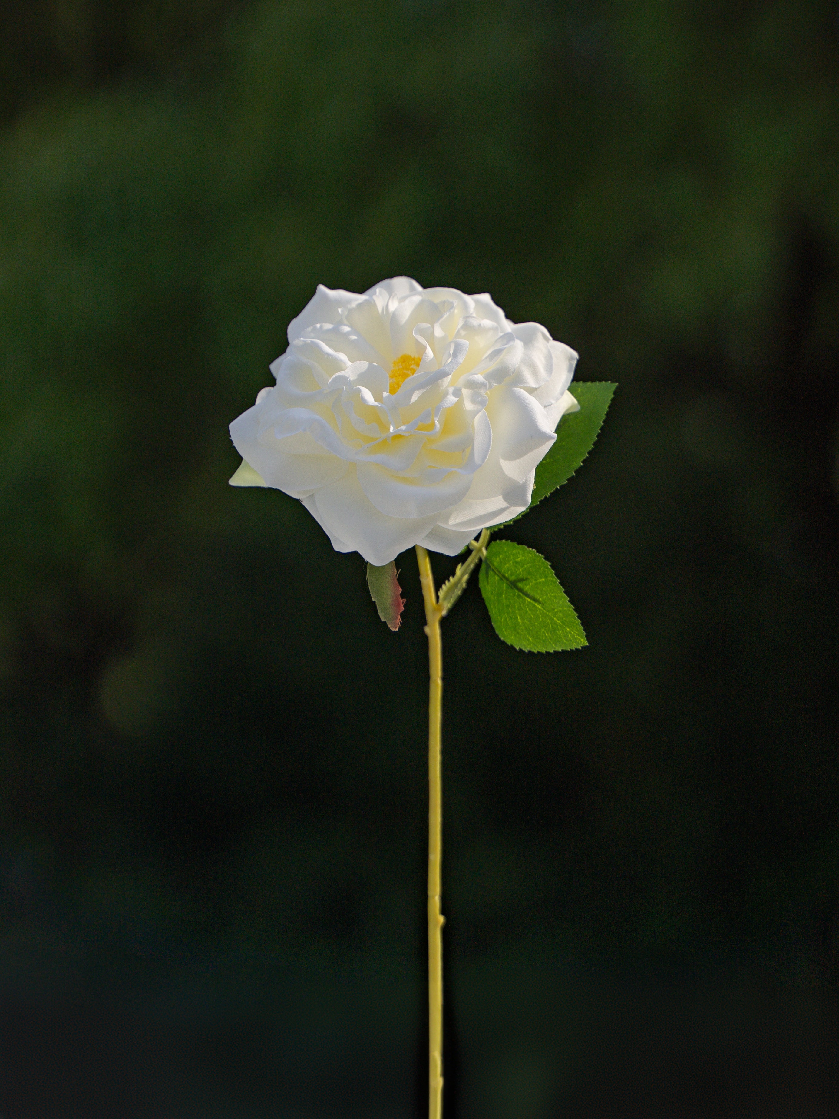 White  Artificial Cabbage Rose - 10&quot;