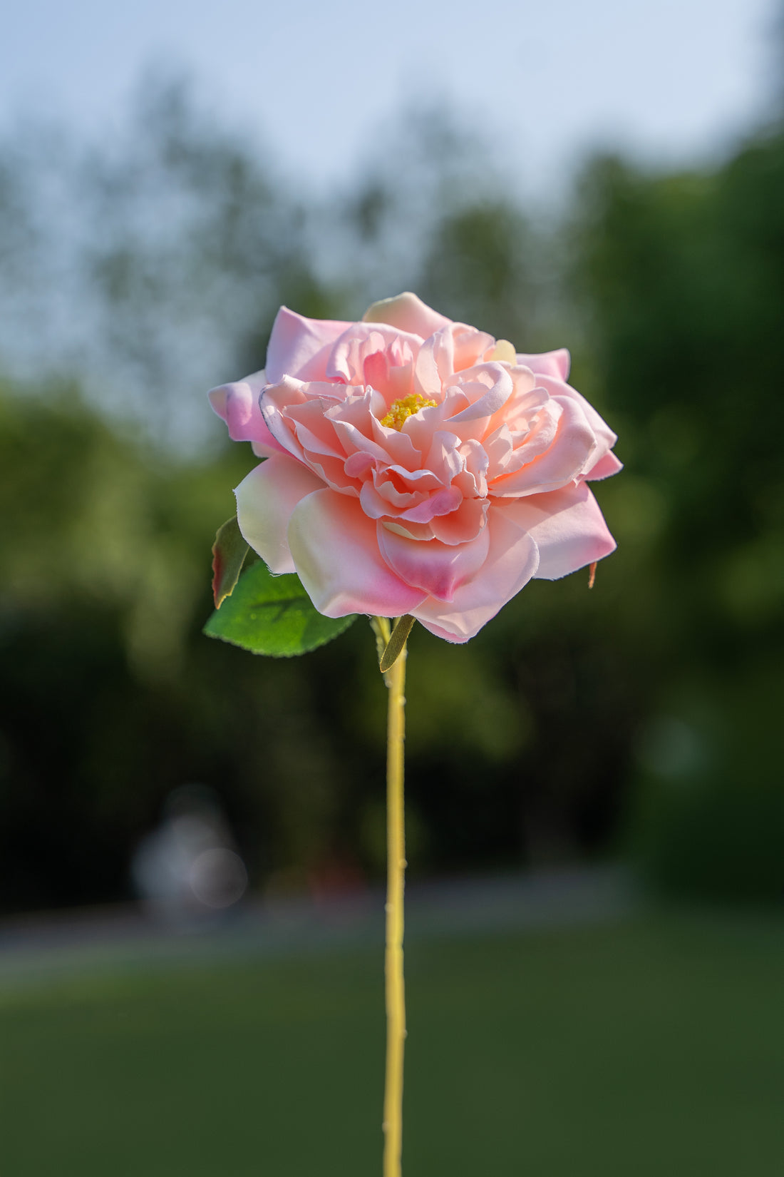 Pink Artificial Cabbage Rose - 10&quot;