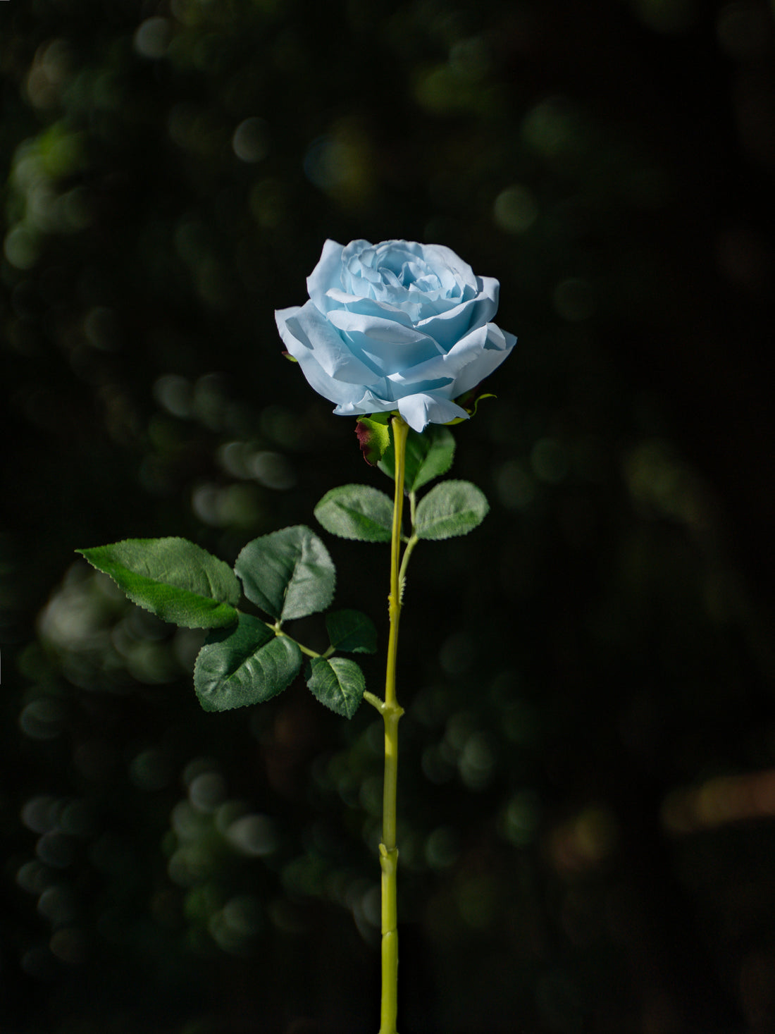 Light Blue Curled Rose Flower- 19&quot;