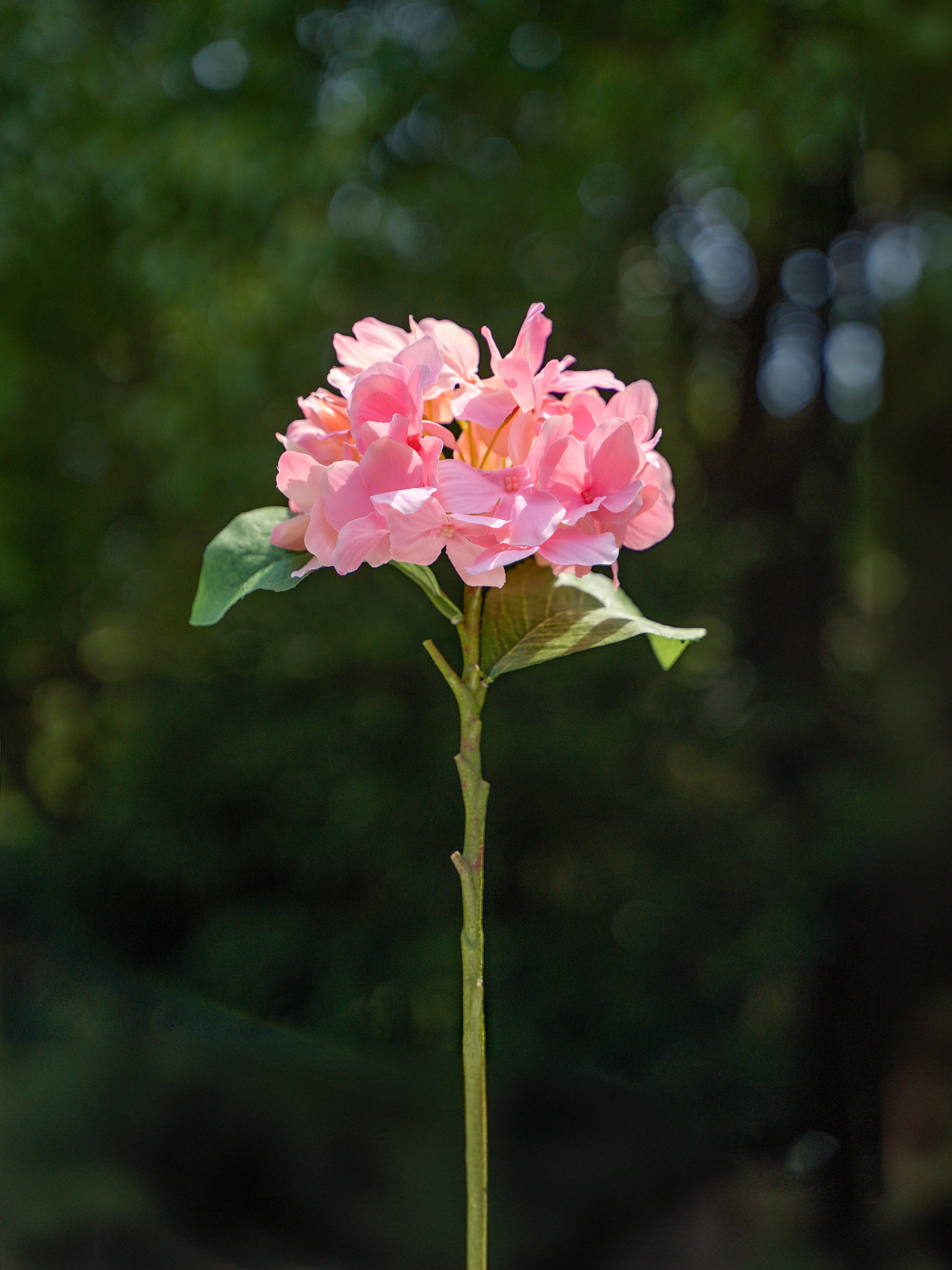 Faux Flowers Pink Single-headed Hydrangea - 18&quot;