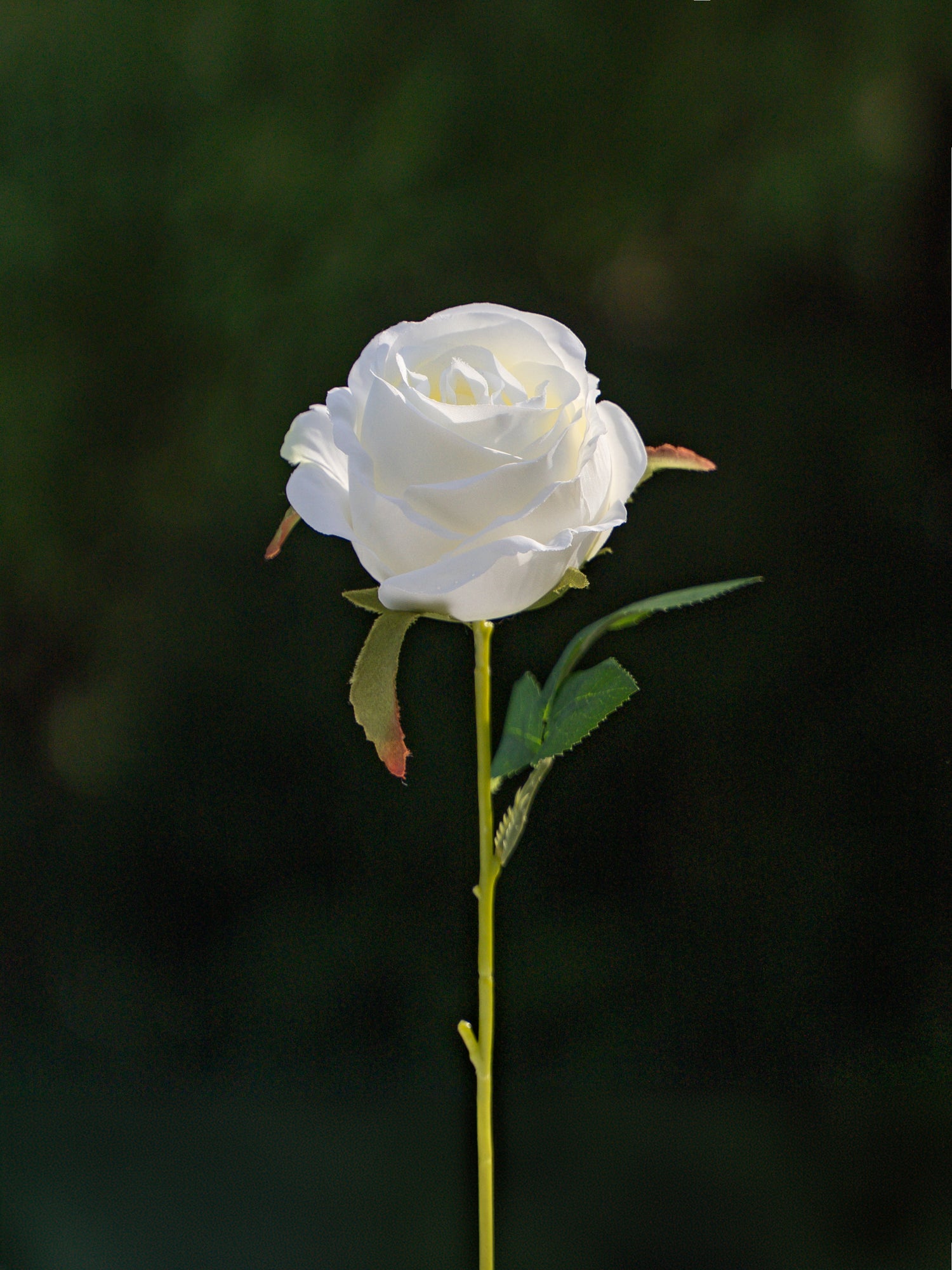 Artificial Flower Bud Rose in White - 11&quot;