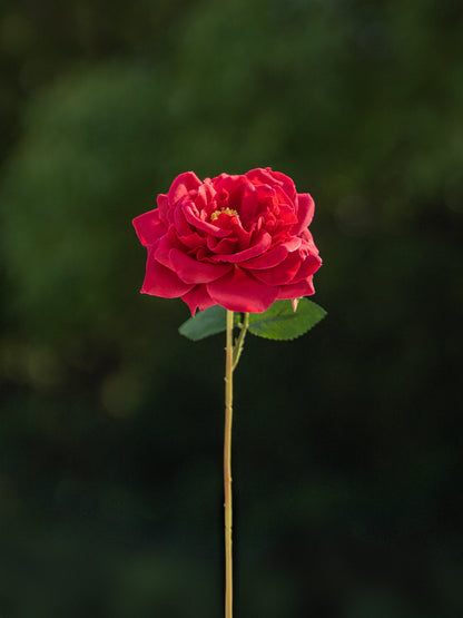 Red  Artificial Cabbage Rose - 10&quot;