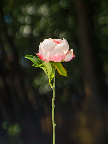 Gradient Pink Artificial Peony Flower - 9.8&quot;