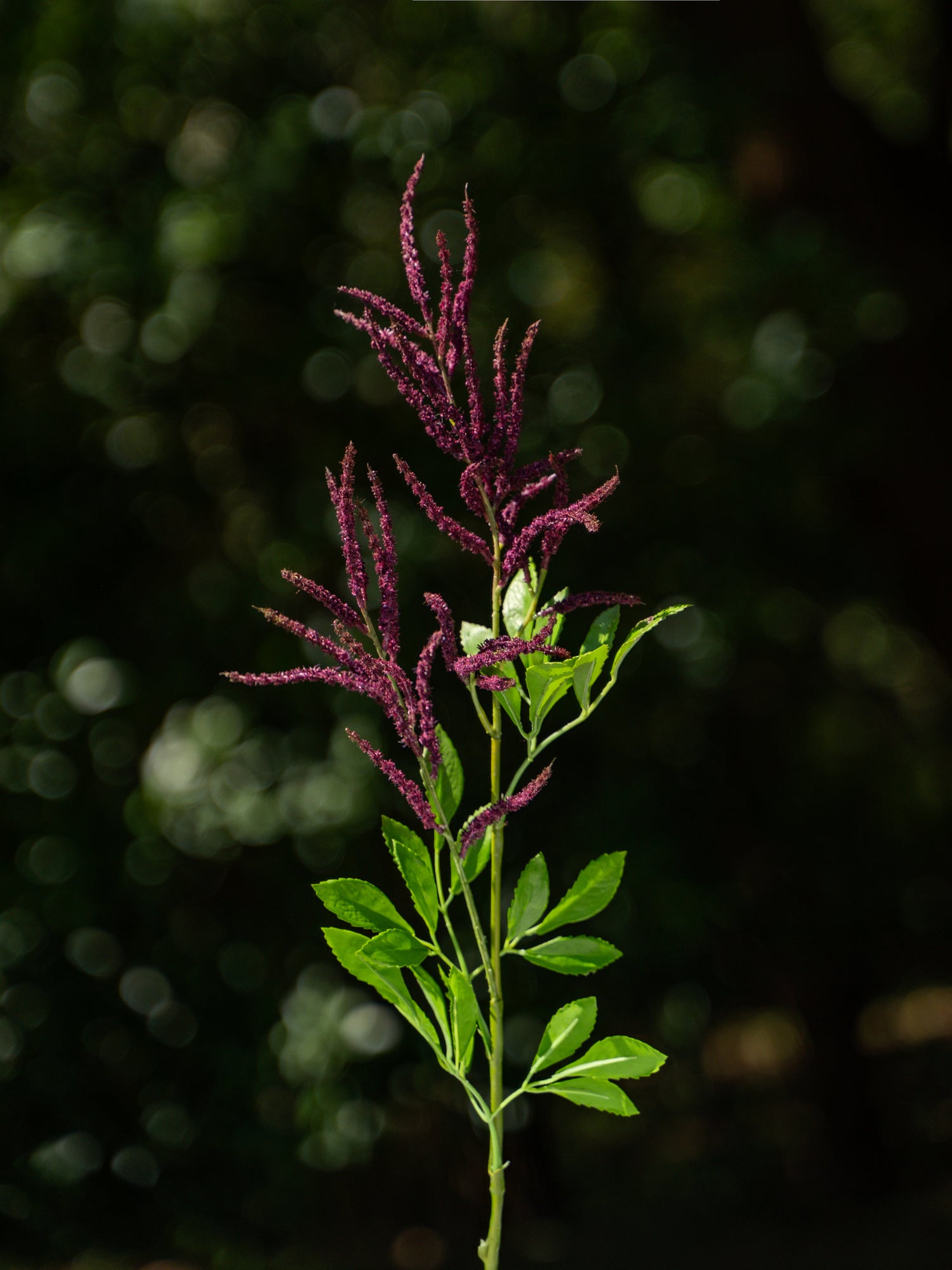 Burgundy Faux Astilbe  Flower Stem - 24&quot;