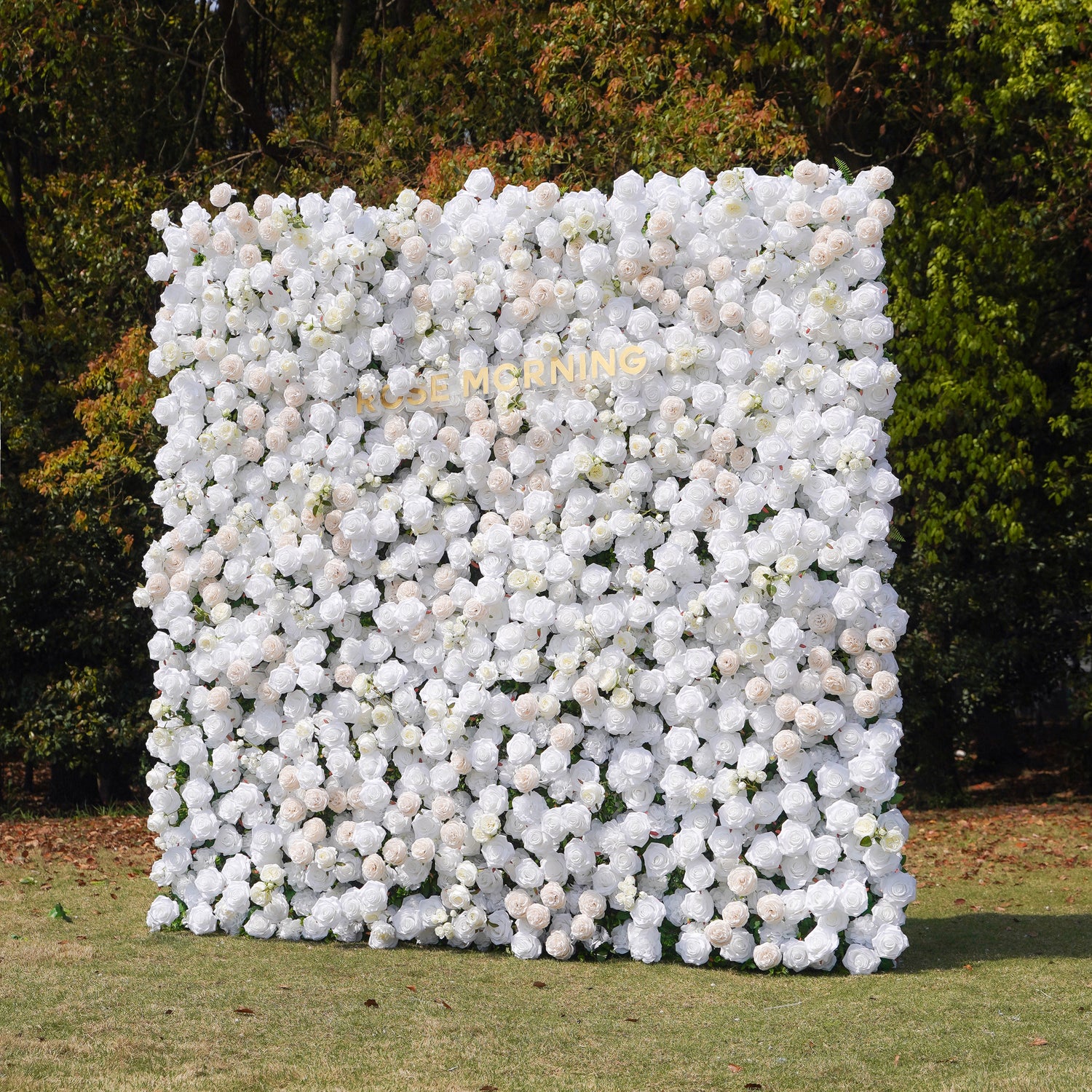 BenBen：5D Fabric Artificial rolling up curtain flower wall