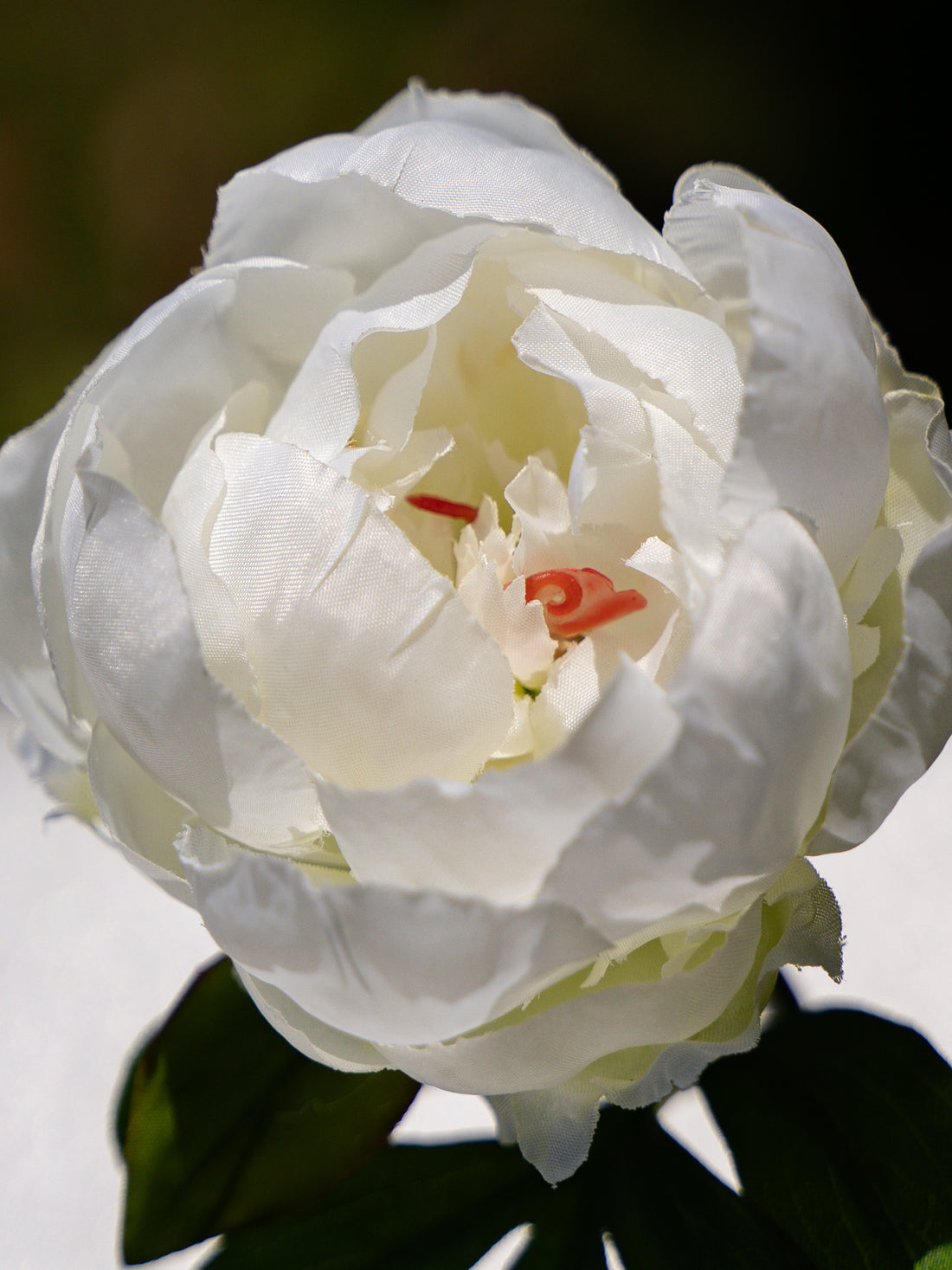 White  Artificial Peony Flower - 9.8&quot;