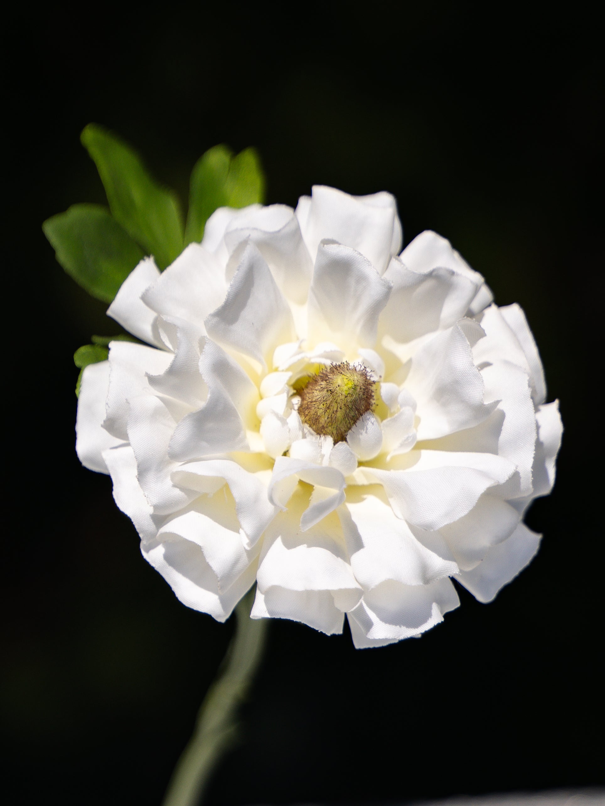 Blooming Fake Ranunculus in White - 9.5&quot;