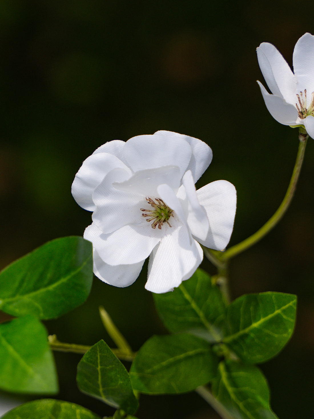 Faux Sulfur Cosmos  Blossom in White  - 18&quot;