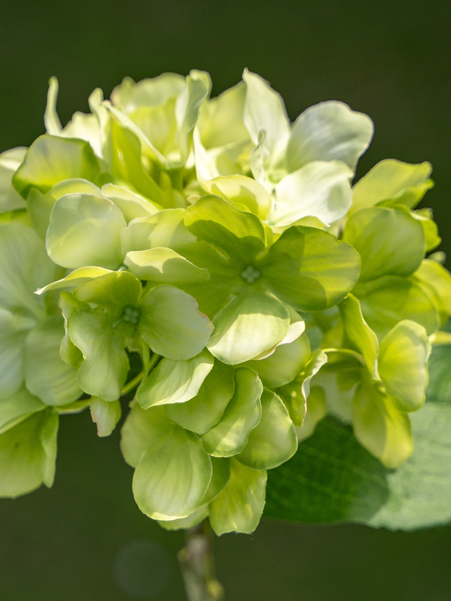 Faux Flowers Green Single-headed Hydrangea - 18&quot;