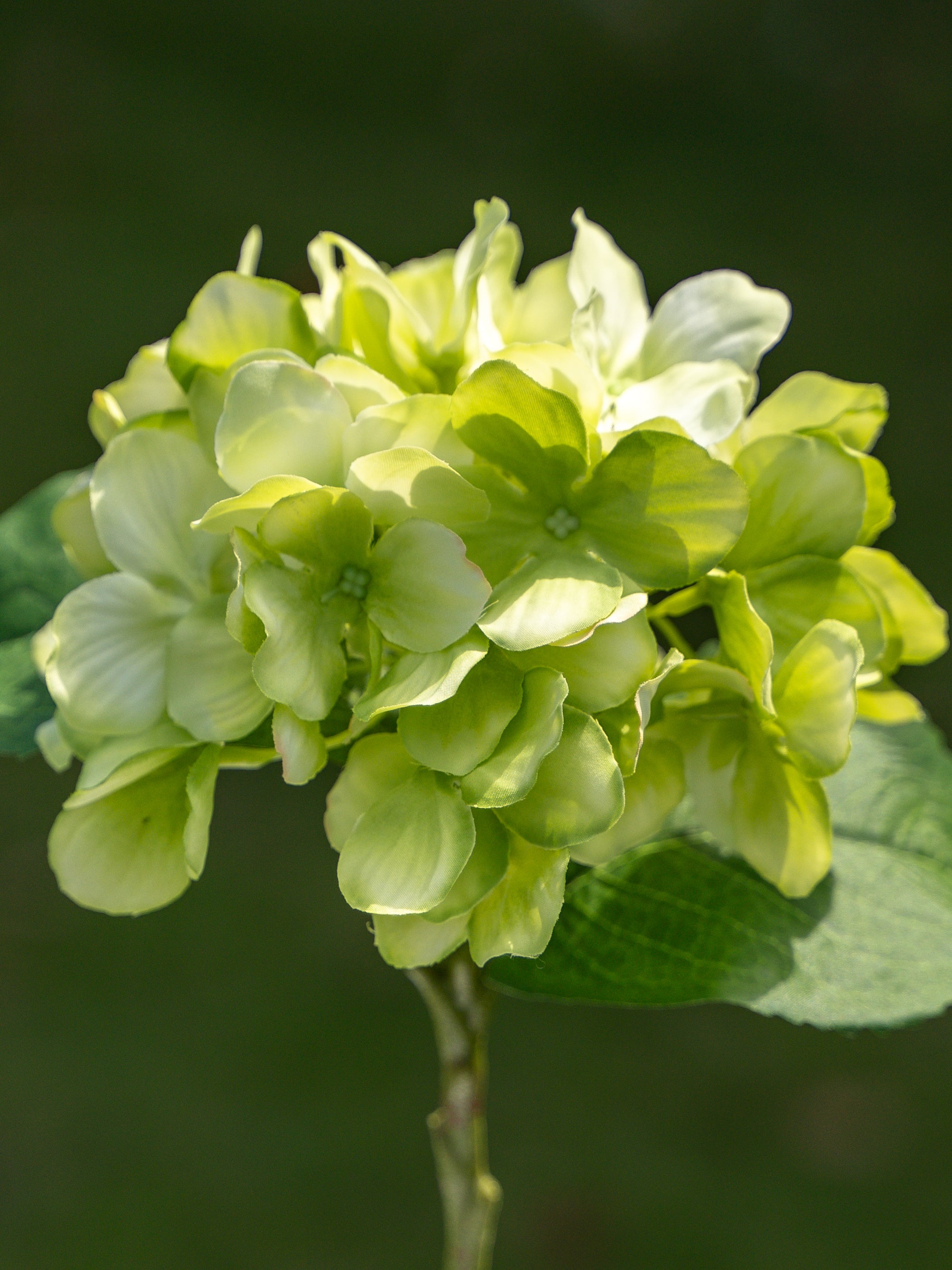 Faux Flowers Green Single-headed Hydrangea - 18&quot;