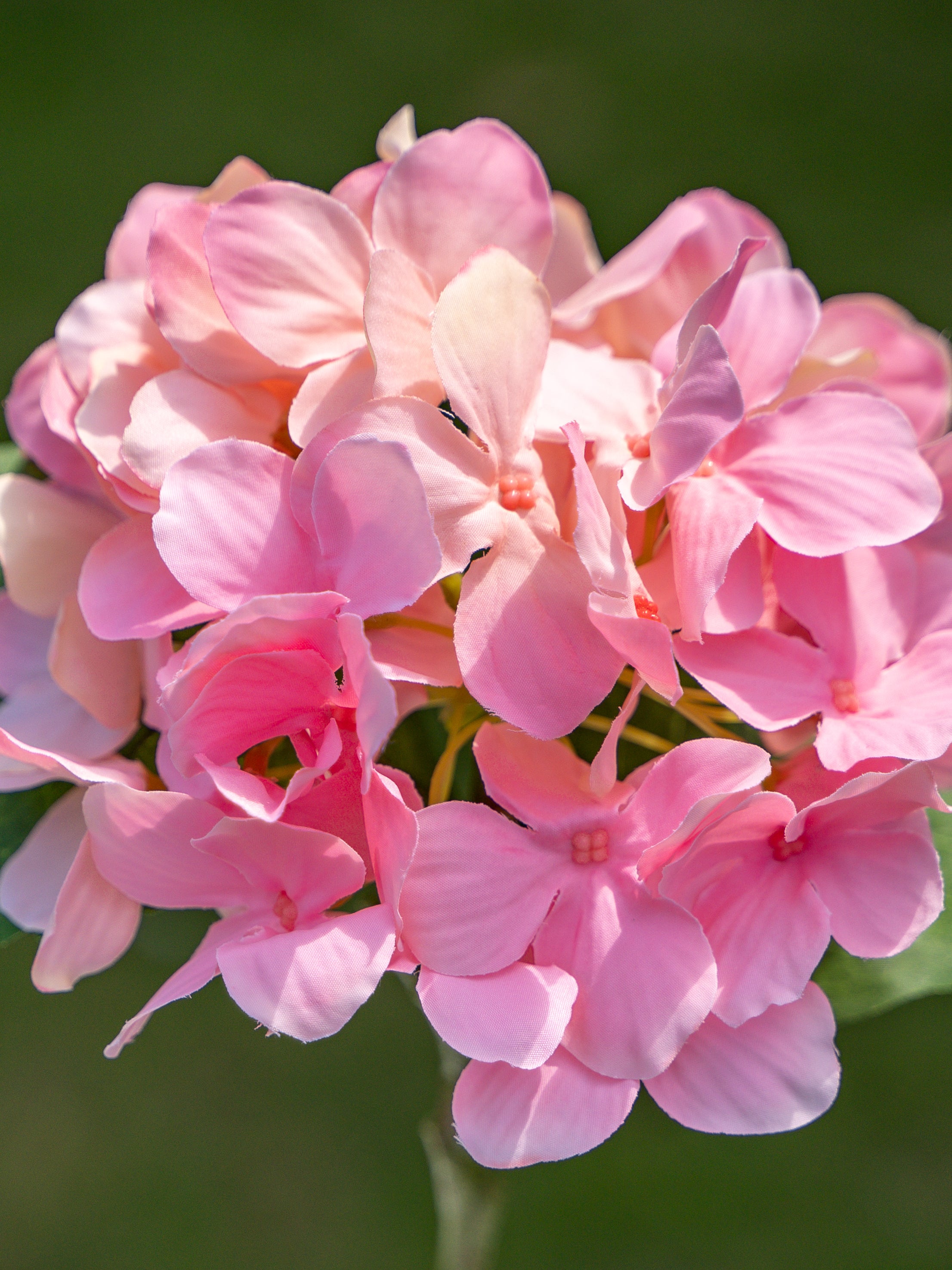 Faux Flowers Pink Single-headed Hydrangea - 18&quot;