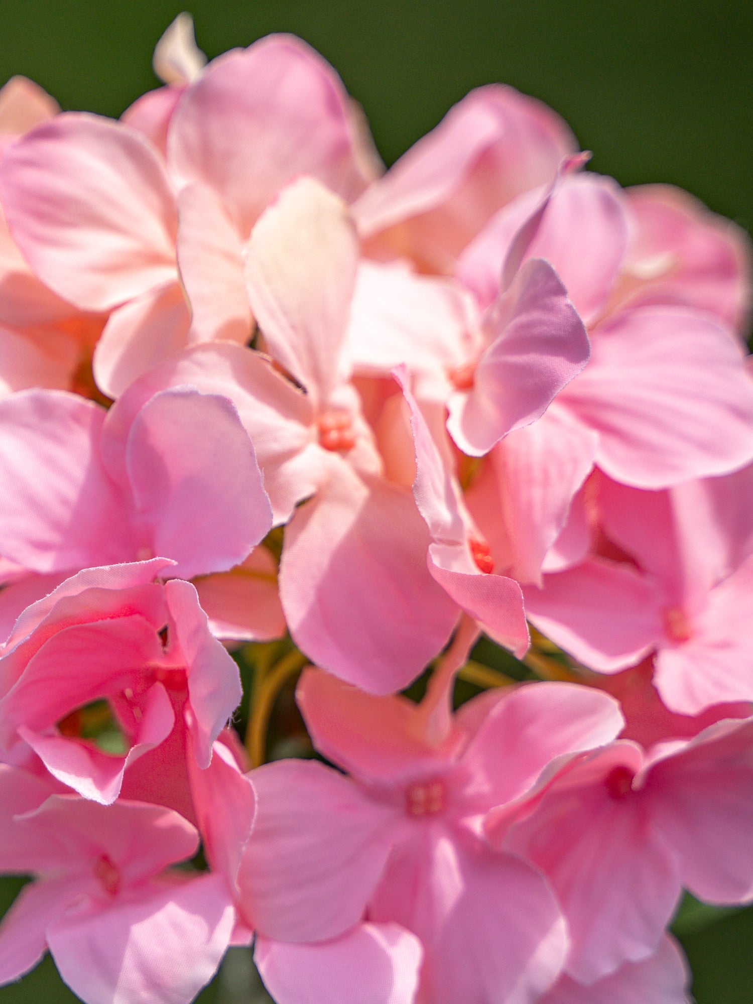 Faux Flowers Pink Single-headed Hydrangea - 18&quot;