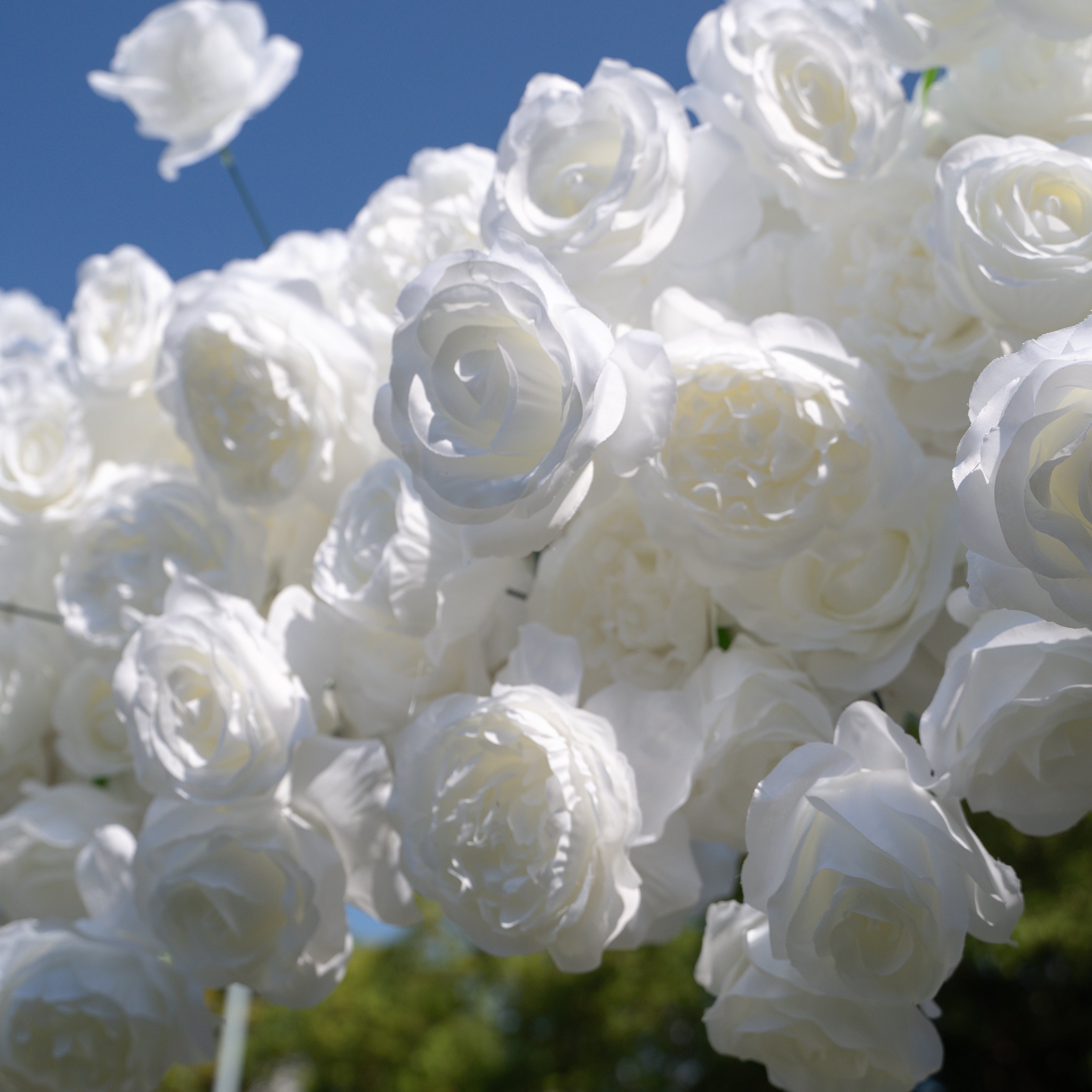 Cecilia：Wedding Party Background Flower Arch Decoration（Not Including Frame)