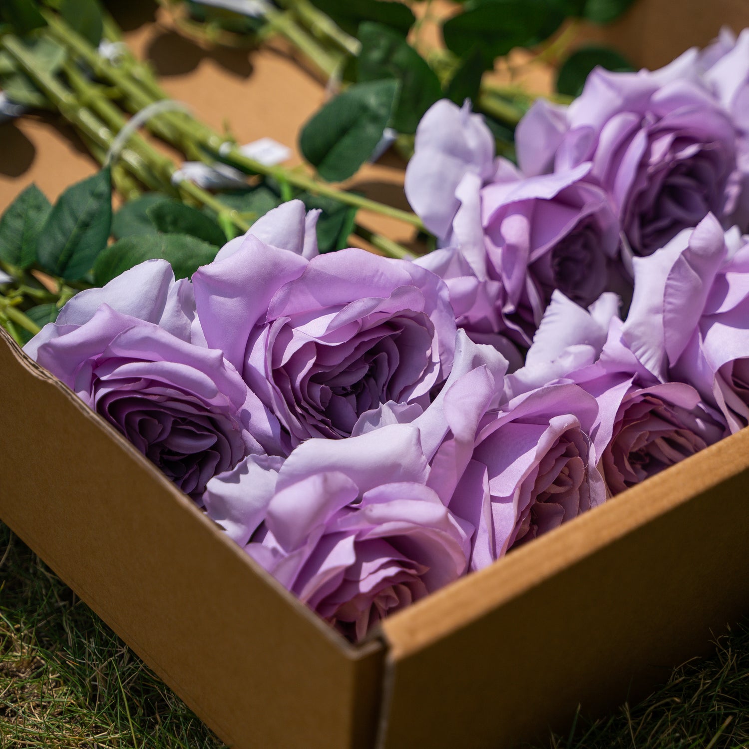 Purple Curled Rose  Flower- 19&quot;