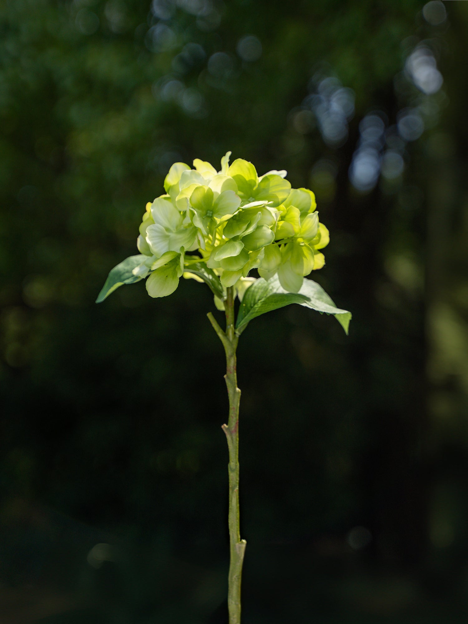 Faux Flowers Green Single-headed Hydrangea - 18&quot;