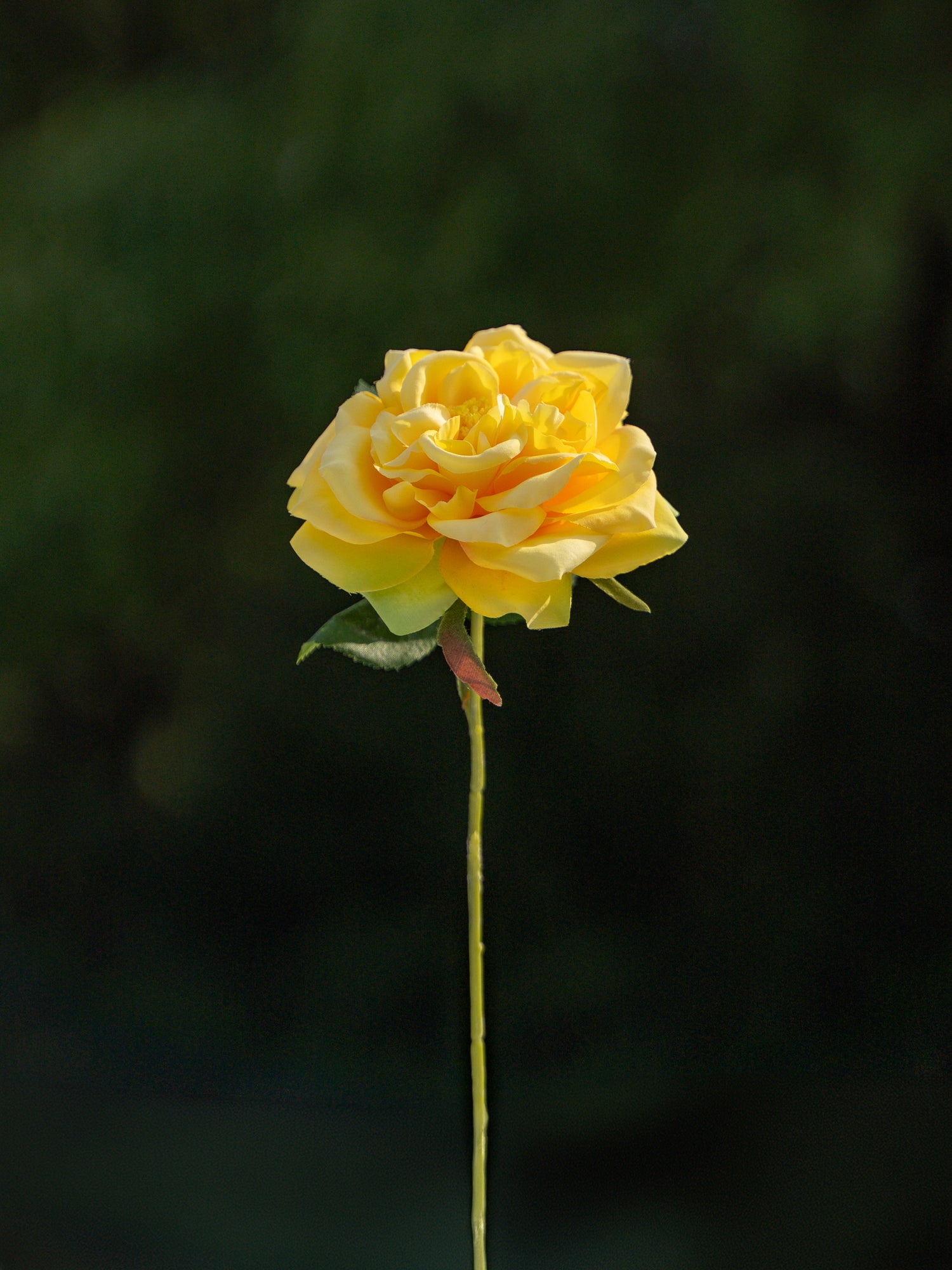 Yellow Artificial Cabbage Rose - 10&quot;