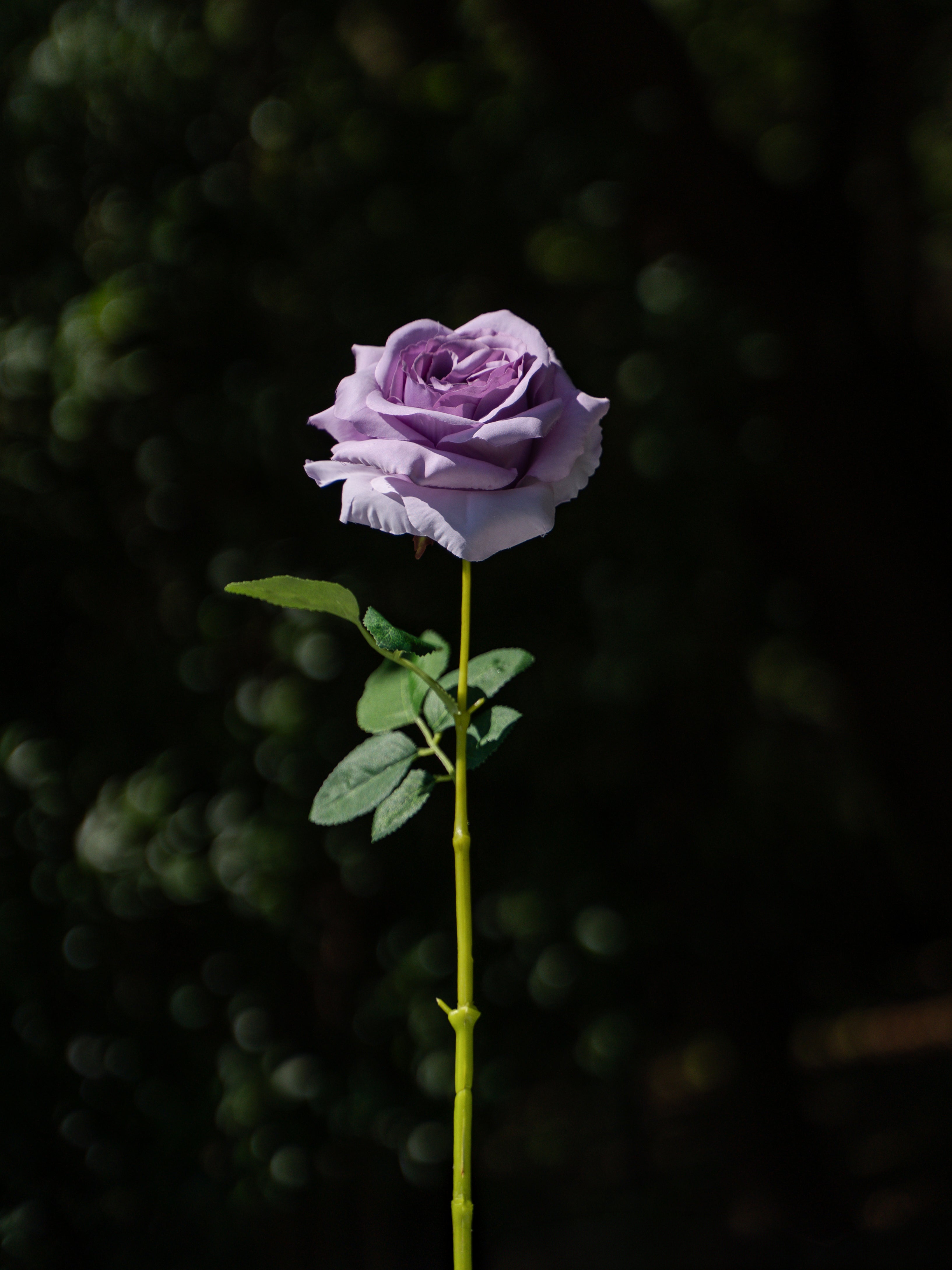 Purple Curled Rose  Flower- 19&quot;