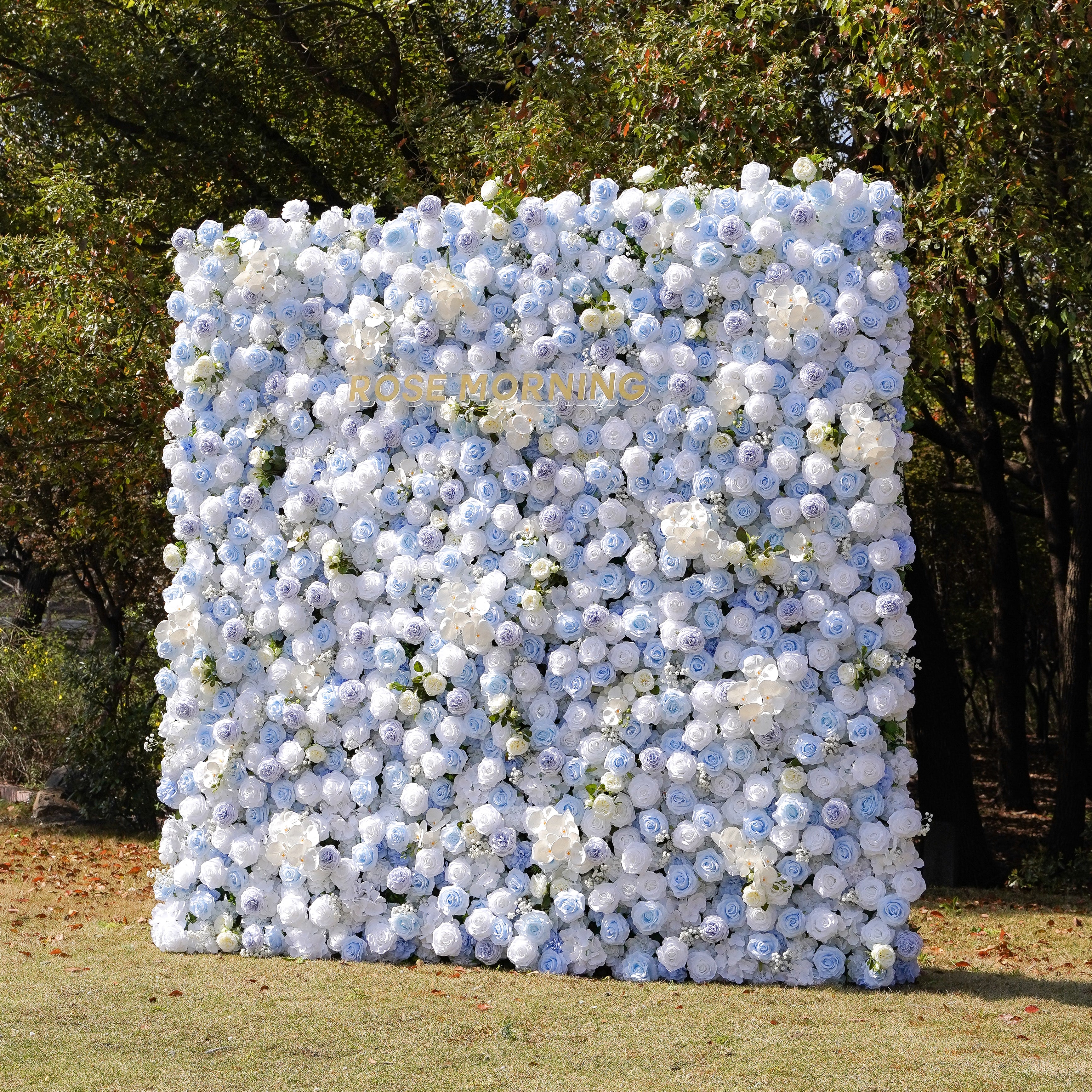 Carlos：5D Fabric Artificial rolling up curtain flower wall