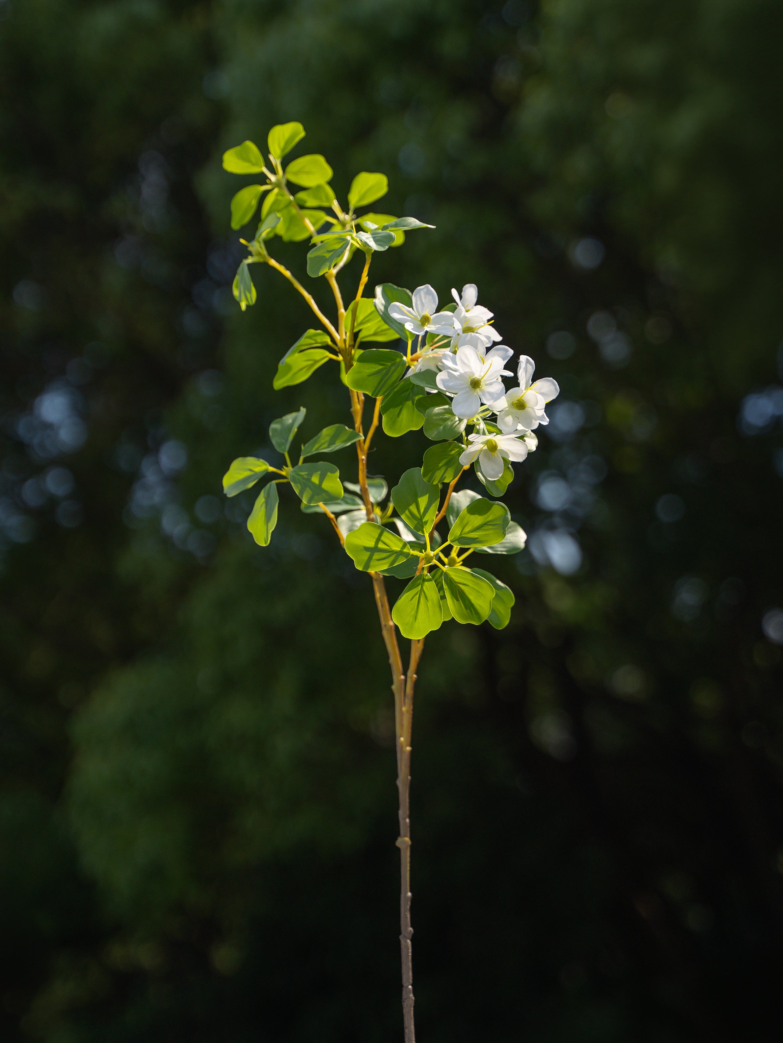 White Pieris with blooms Fake Flower Branch  - 31.5&quot;