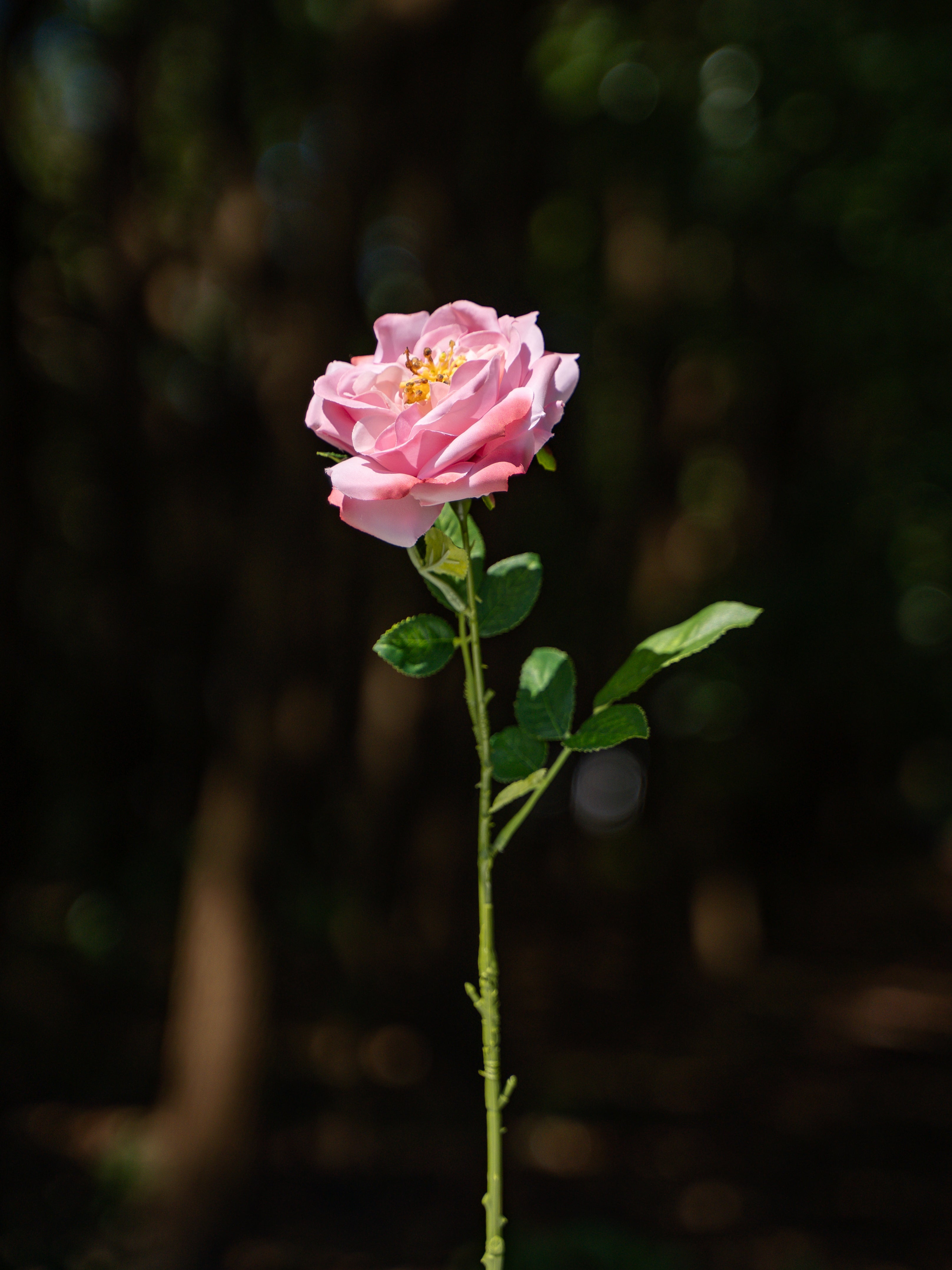 Artificial Purple Damask Rose  - 17.8&quot;