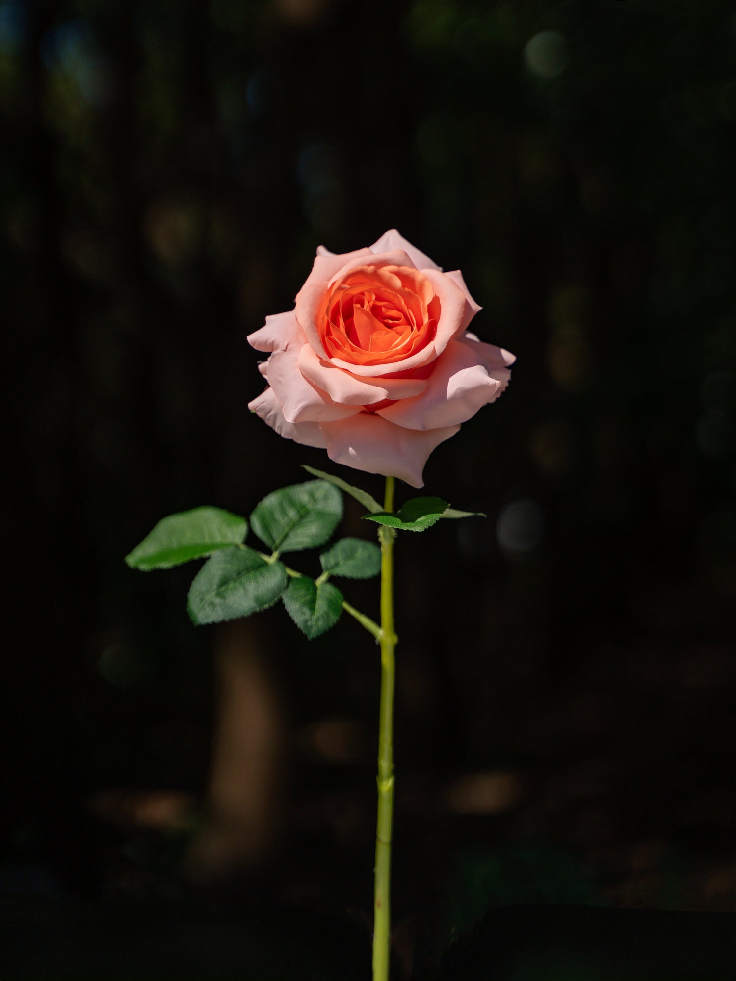 Light Orange Curled Rose Flower- 19&quot;