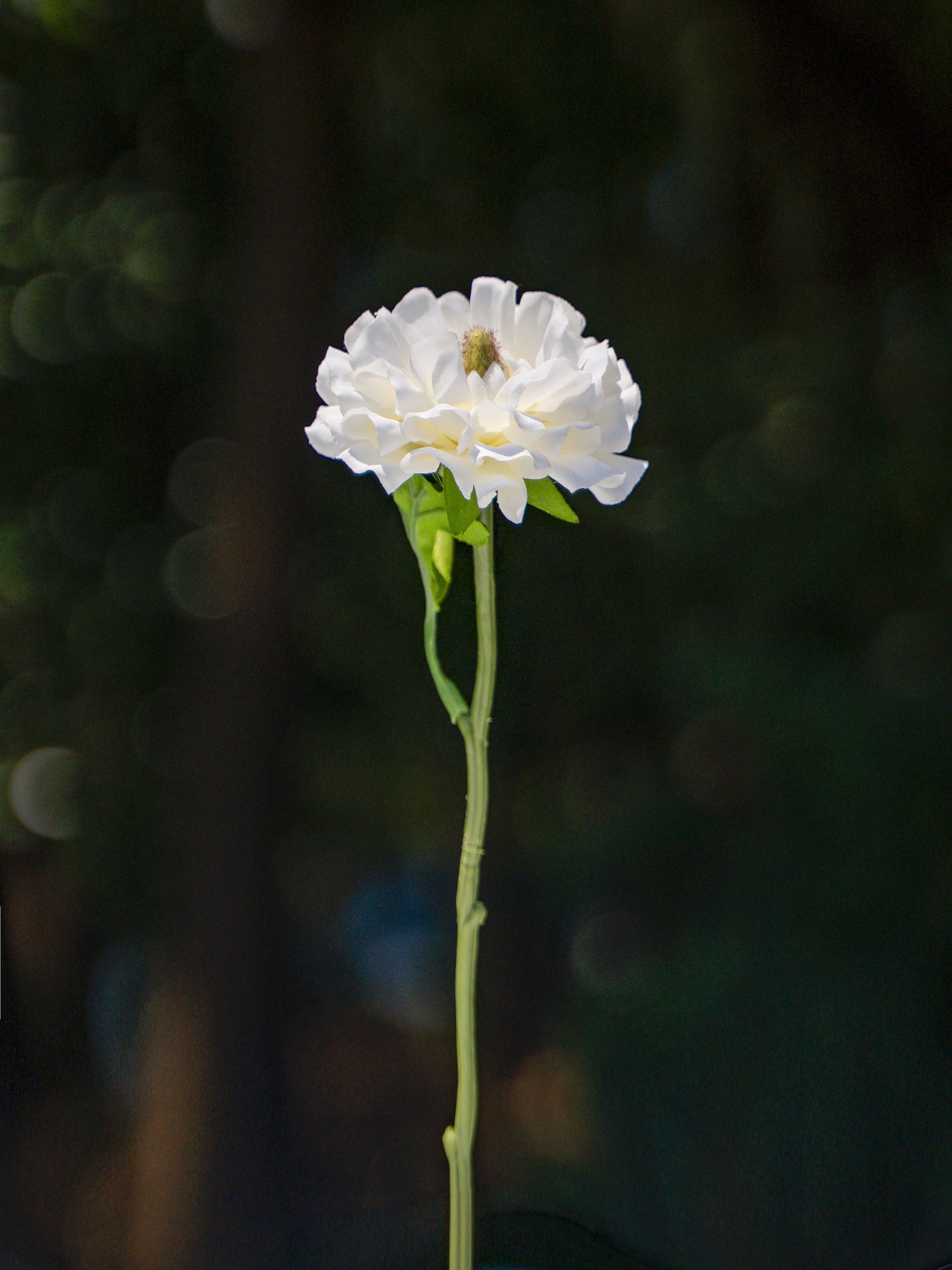 Blooming Fake Ranunculus in White - 9.5&quot;