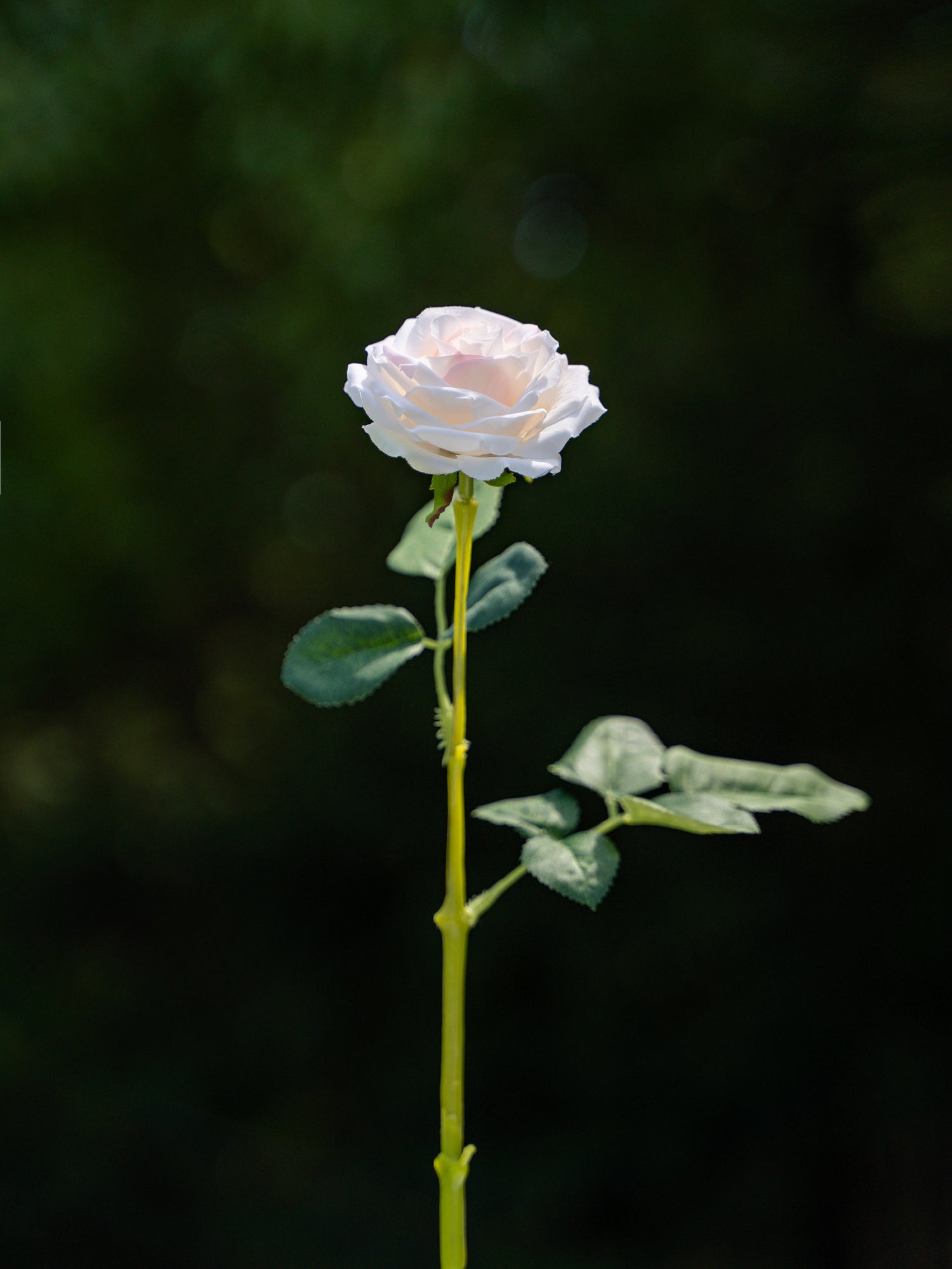 Champagne Artificial Curled Small  Rose Flower - 17.8&quot; Tall