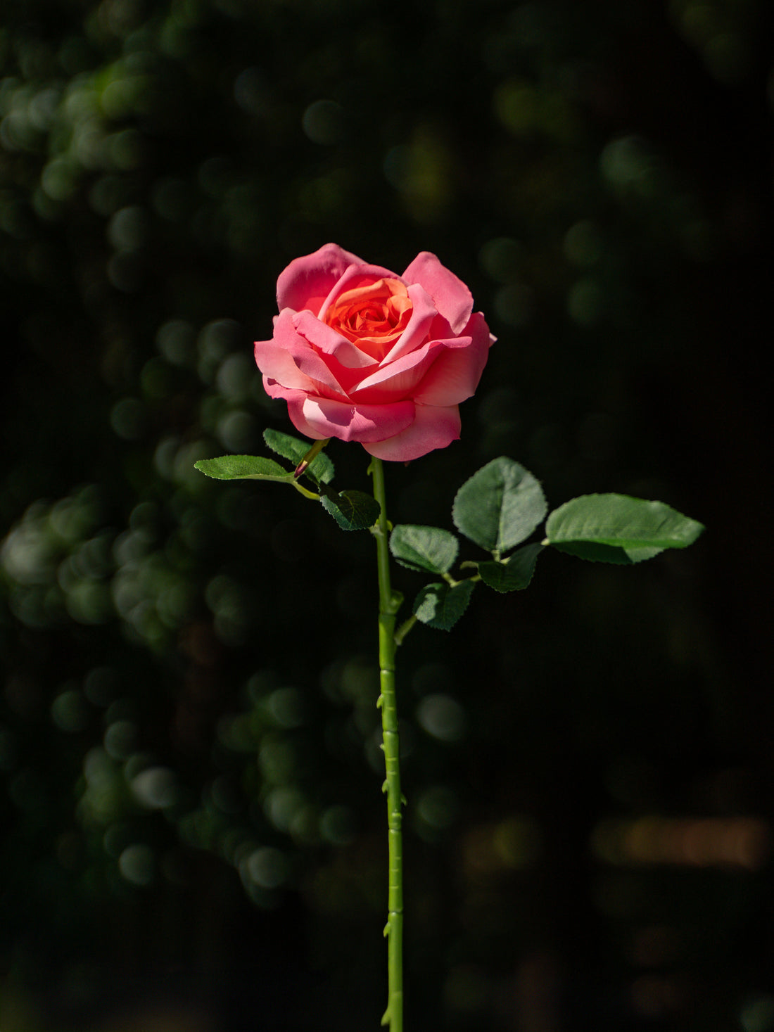 Red  Fully Bloomed Rose - 18&quot;