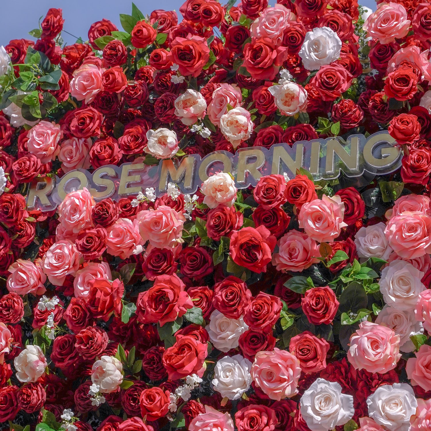 Zita：5D Fabric Artificial rolling up curtain flower wall